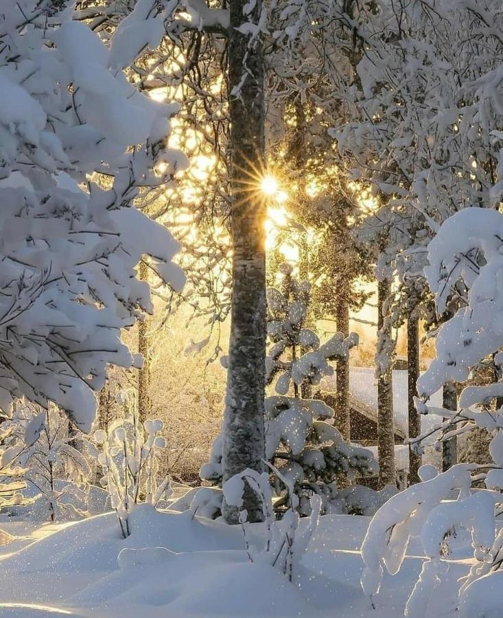 Posada El Pareon Сирвьелья Экстерьер фото